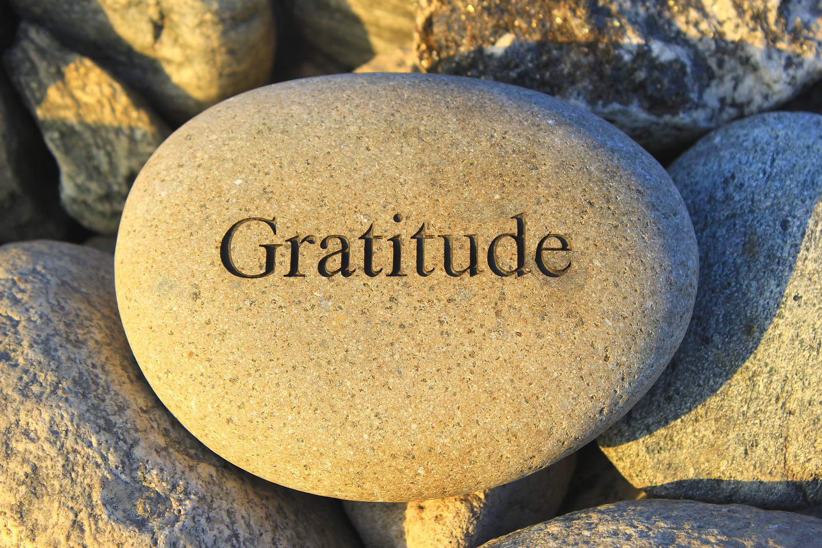 bigstock_Gratitude_22724237